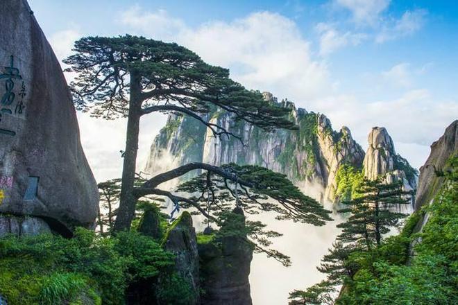 日游价格多少 看完少花冤枉钱凯时尊龙去黄山旅游团报价三(图5)