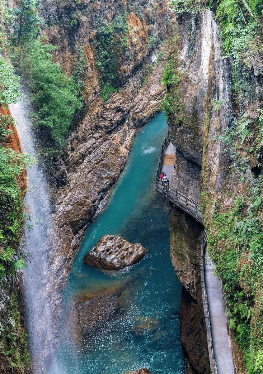 P10 满意度 953%× 零购物承诺 × 复购率 89% 覆盖团建  研学  